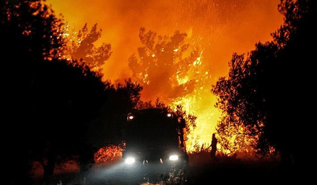 Hükümet’ten orman yangınlarına ilişkin açıklama: Yangında riskli bölgelere özel önlemler geliyor