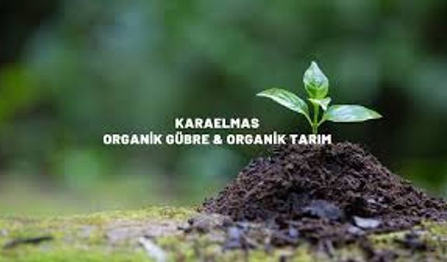 Karaelmas A.Ş., Biochar ile Zenginleştirilmiş Özel Ürünü Üretmeyi Başardı