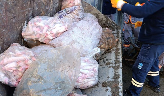 Eyüpsultan’da Ruhsatsız Hayvan Ayağı İşleme Tesisi Mühürlendi