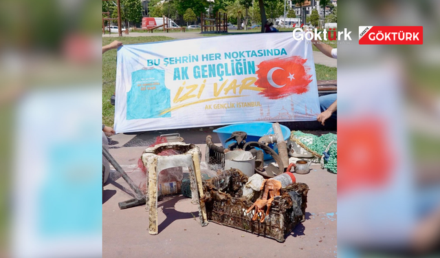 Maltepe Sahili’nde su altı temizliği