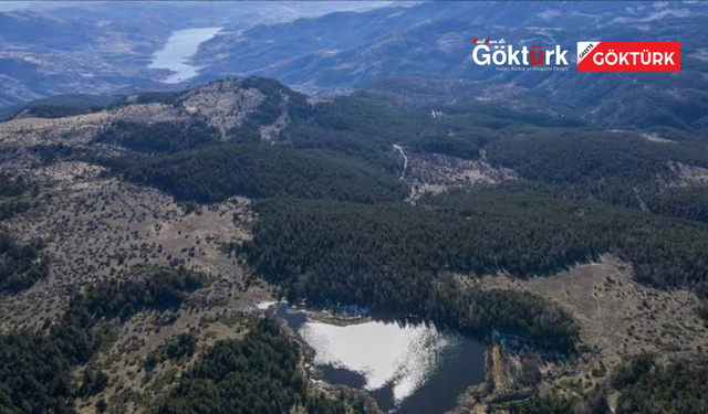 Ankara'da Ormanlara Giriş Yasağı 15 Ekim'e Kadar Uzatıldı
