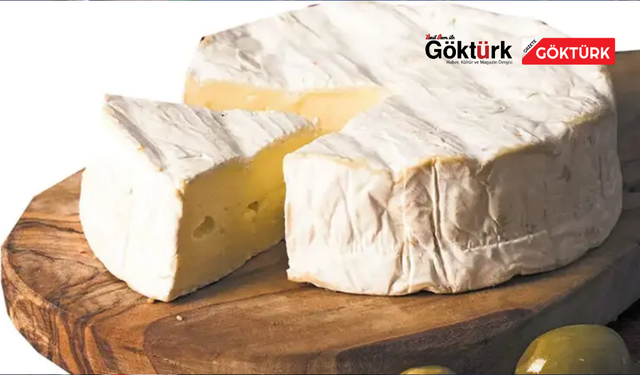 Peynir ürününde Listeria uyarısı: Geri çağırma kararı alındı