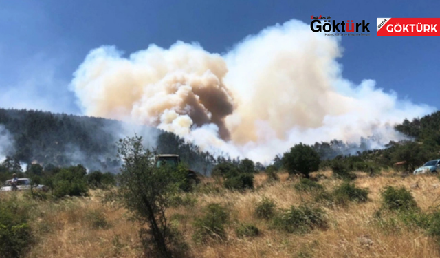 Balıkesir'deki Orman Yangınında Söndürme ve Soğutma Çalışmaları Sürüyor
