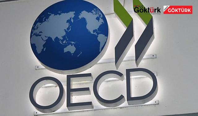 OECD'DEN TÜRKİYE İÇİN ENFLASYON REVİZYONU
