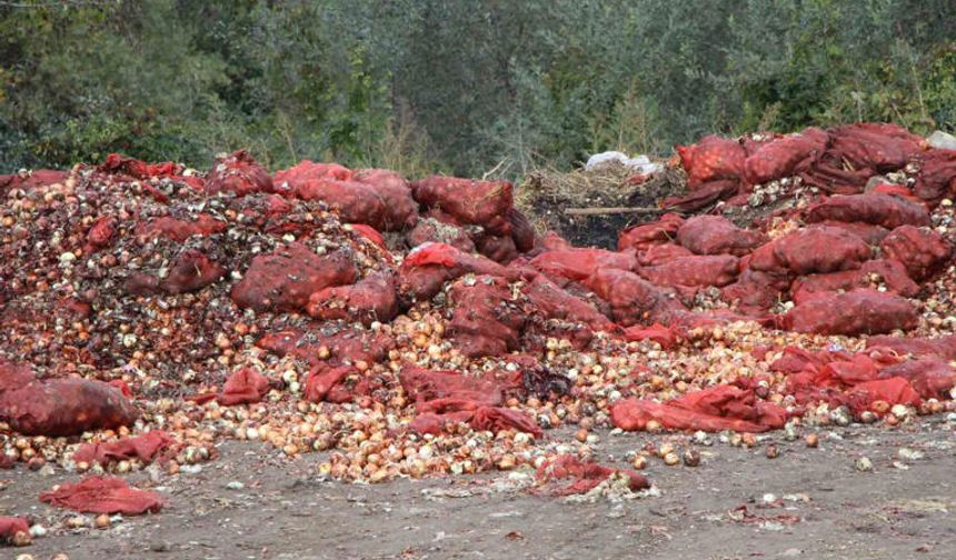 Yeşilırmak kıyısına çuvallar dolusu soğan ve patlıcan döküldü