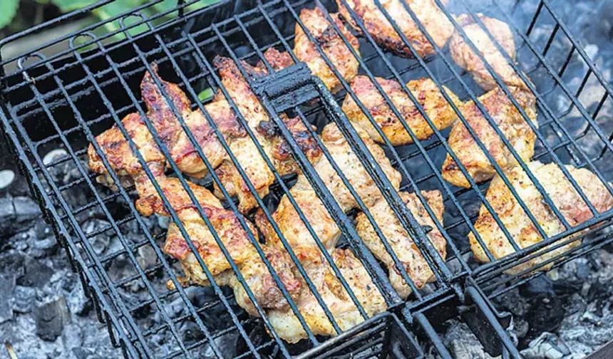 Mangal yasağı tavuğu vurdu