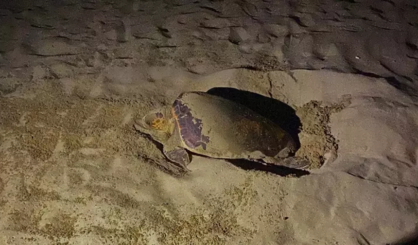 İzmir'de yılın ilki gerçekleşti! 'Hemen o alandan uzaklaşın...'