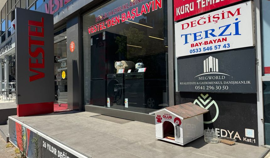 Göktürk’te Sokak Hayvanlarına Sahip Çıkan Esnaf ve Belediyeden Örnek Davranış