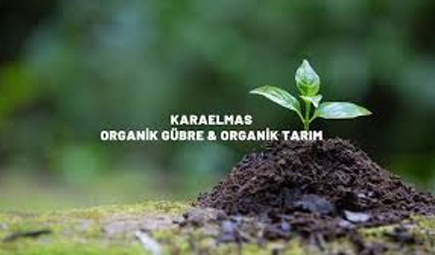 Karaelmas A.Ş., Biochar ile Zenginleştirilmiş Özel Ürünü Üretmeyi Başardı