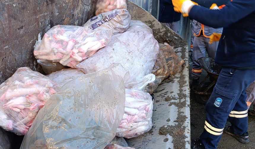 Eyüpsultan’da Ruhsatsız Hayvan Ayağı İşleme Tesisi Mühürlendi