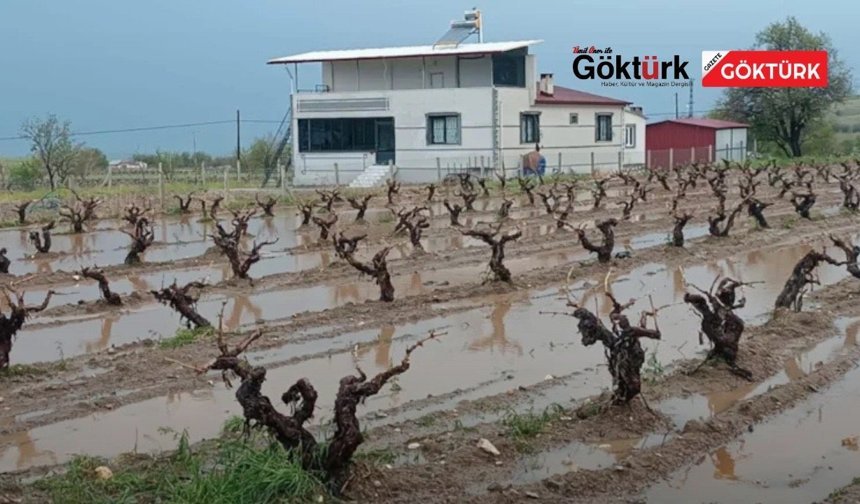 Altyapı çöktü, kent sular altında: Vatandaşlar tepkili