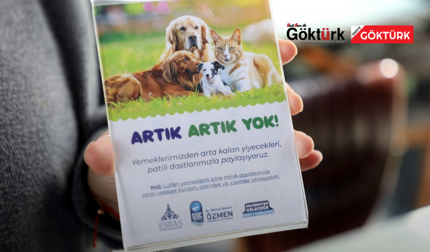 Yemek artıkları patili dostlarımıza can oluyor