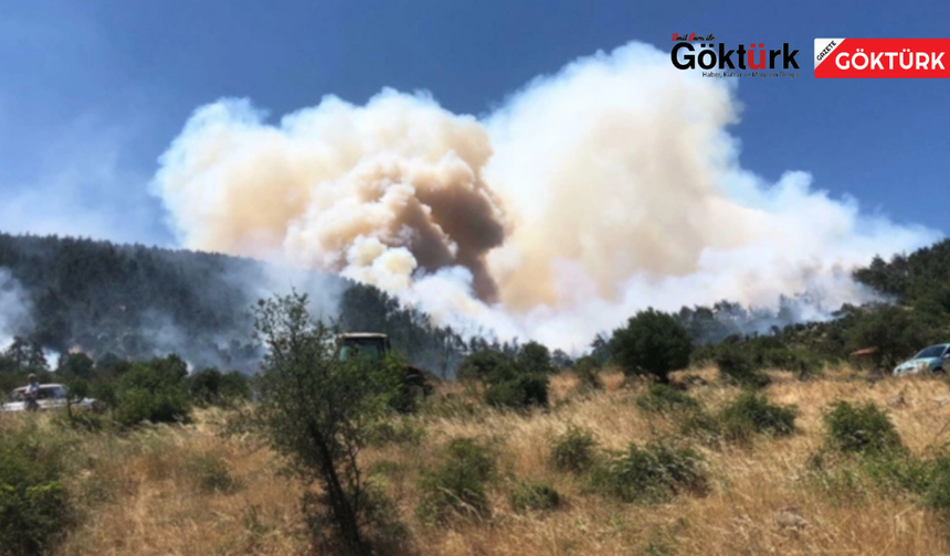 Balıkesir'deki Orman Yangınında Söndürme ve Soğutma Çalışmaları Sürüyor