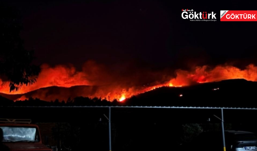 MUĞLA'DA ORMAN YANGINI: OTELLER BOŞALTILDI, TAHLİYELER SÜRÜYOR