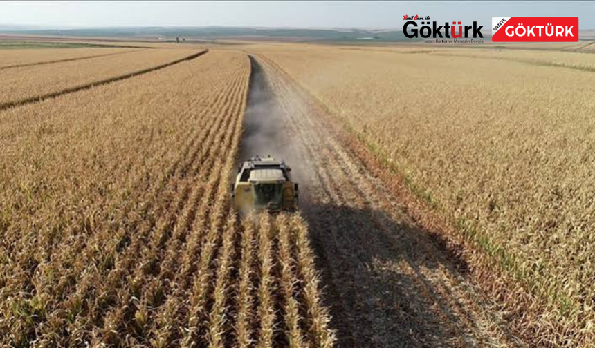 Bakanlık harekete geçti: İşlenmeyen tarım arazileri sezonluk kiraya verilecek