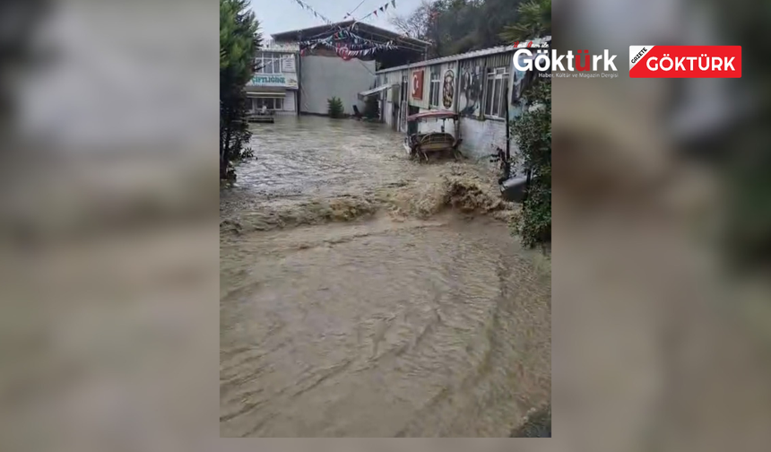 PİRİNÇÇİ KÖYÜ’NDE SAĞANAK YAĞIŞIN ETKİSİ: YOLLAR GÖLE DÖNDÜ!