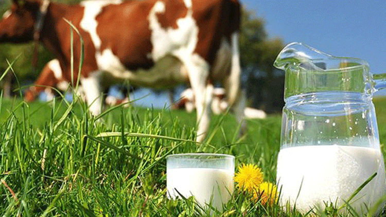 Süte dev zam: Bazı markalarda bir litresi 21 lirayı gördü!!!
