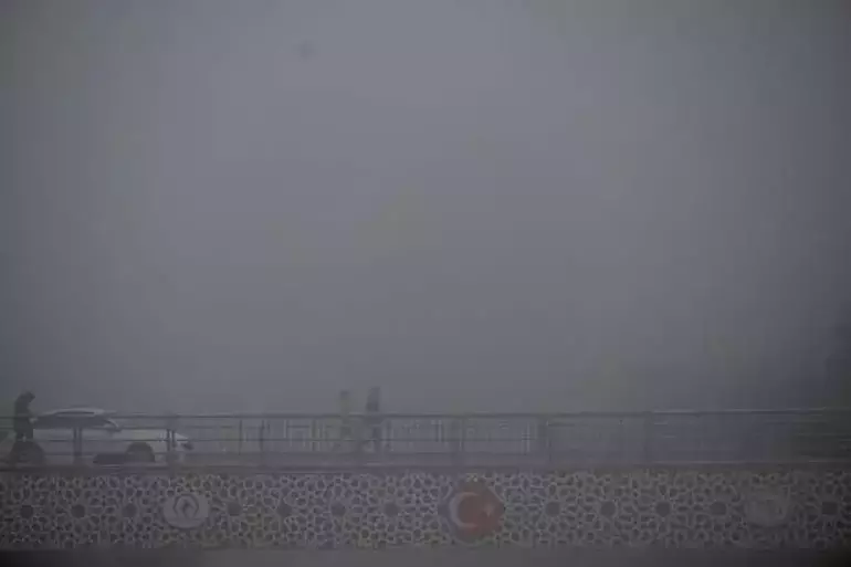 68F1Fb5436206Bb89D502F01