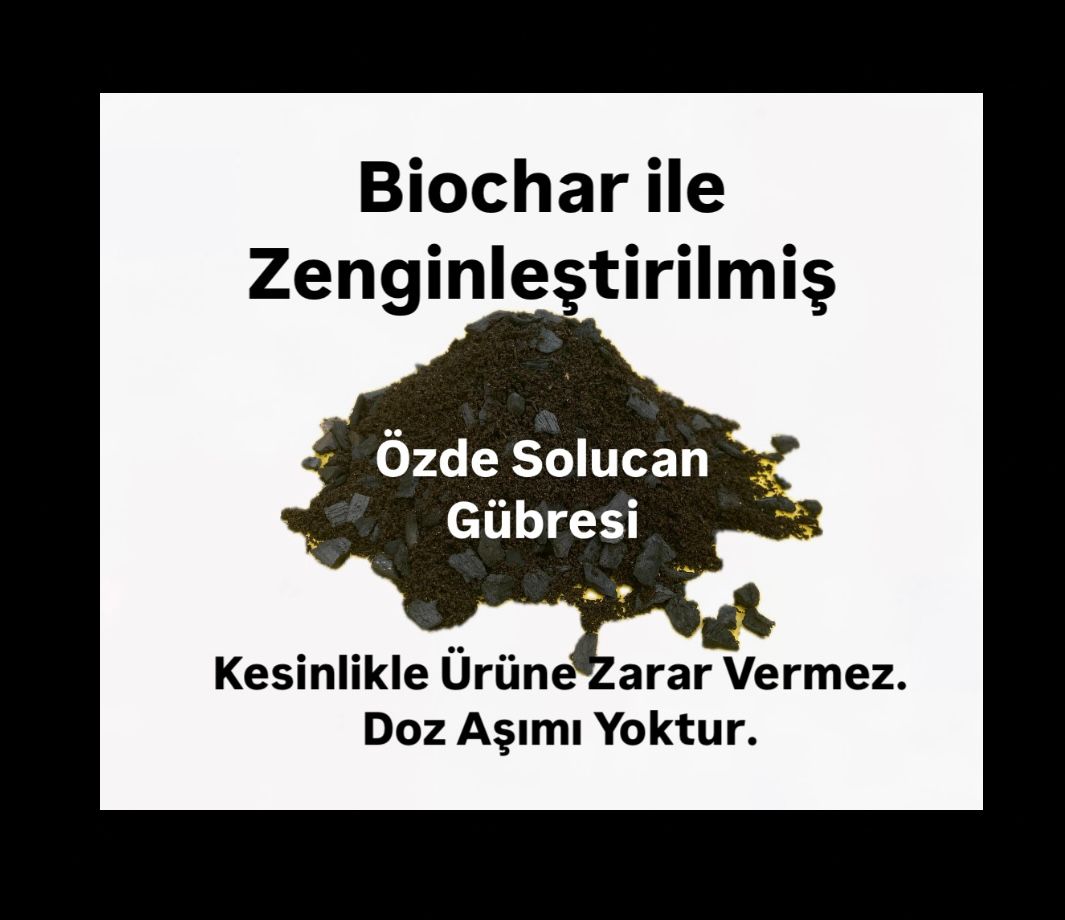 Whatsapp Image 2025 11 03 At 10.53.36