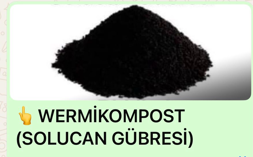 Whatsapp Image 2025 11 03 At 10.53.37 (1)