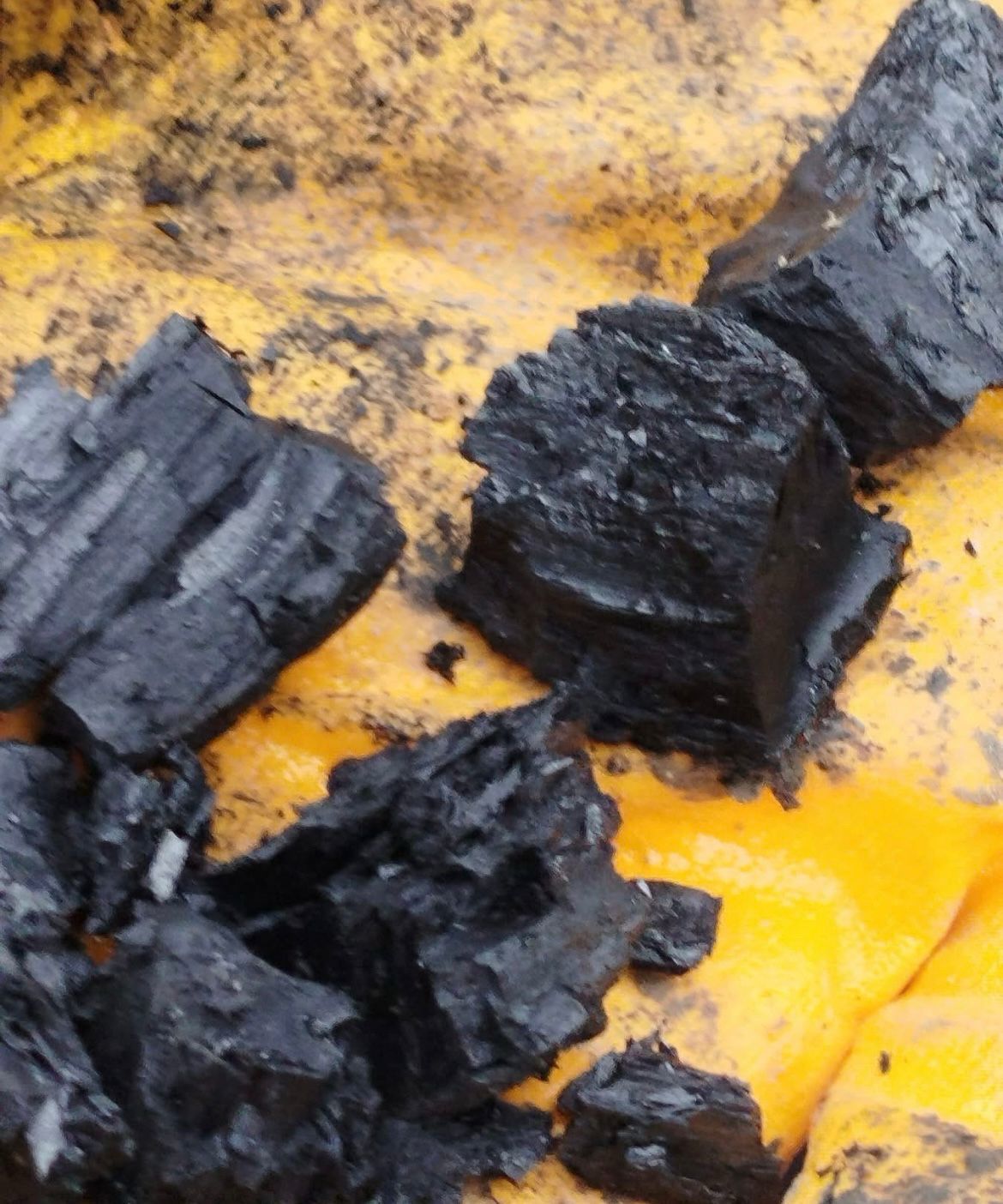 Whatsapp Image 2025 11 03 At 10.53.37