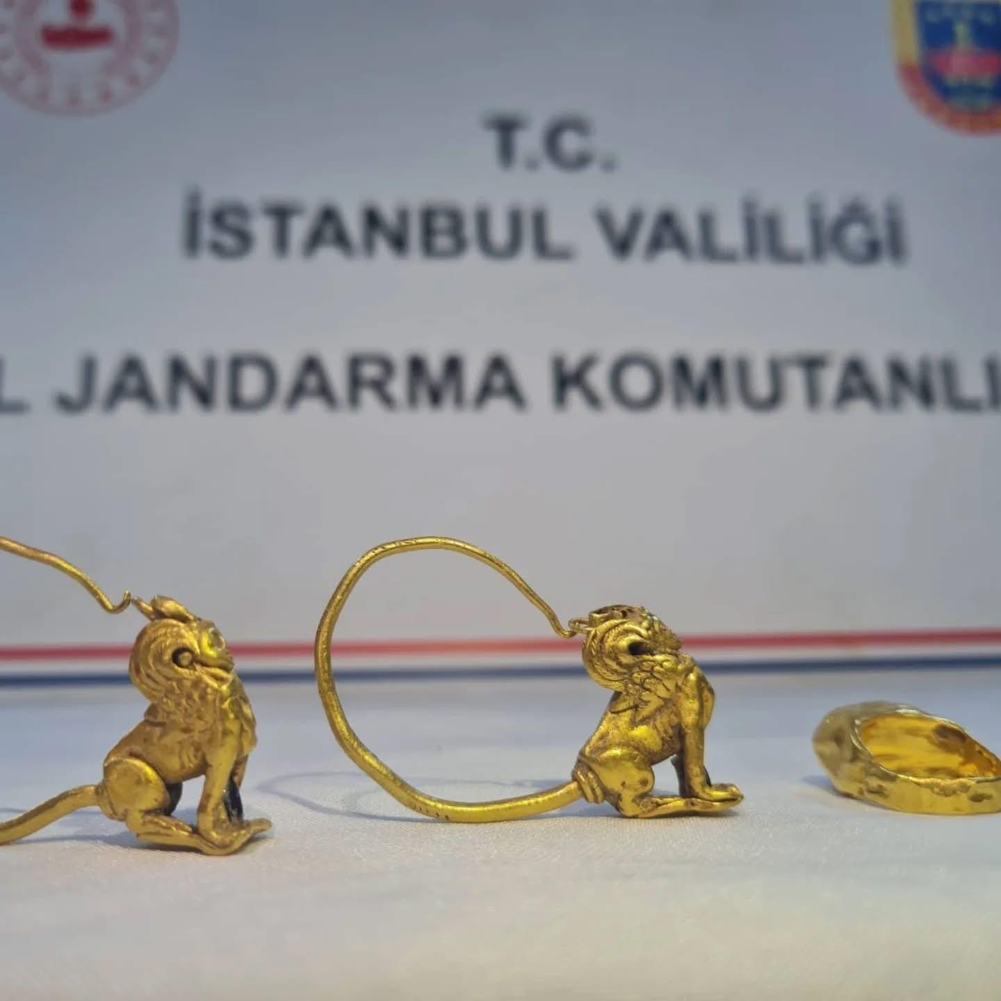 Whatsapp Image 2025 11 05 At 10.28.39