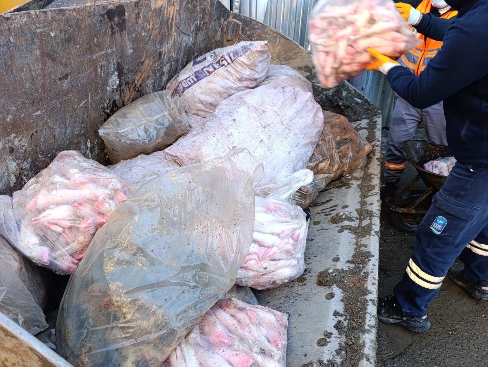 Foto 1 (7) 1595X1200