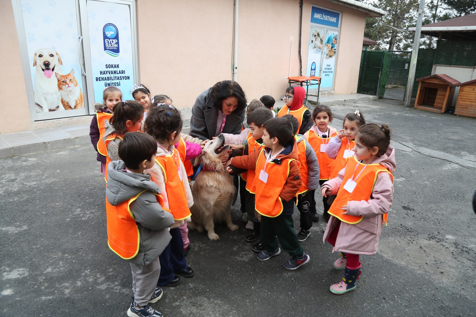 K A D R8729 1600X1067