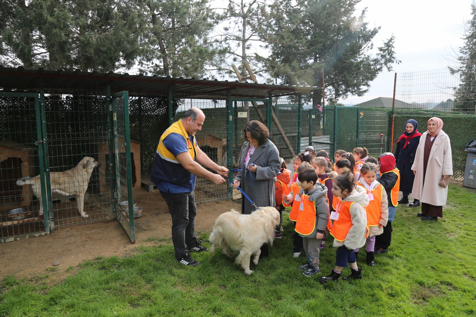 K A D R8778 1600X1067