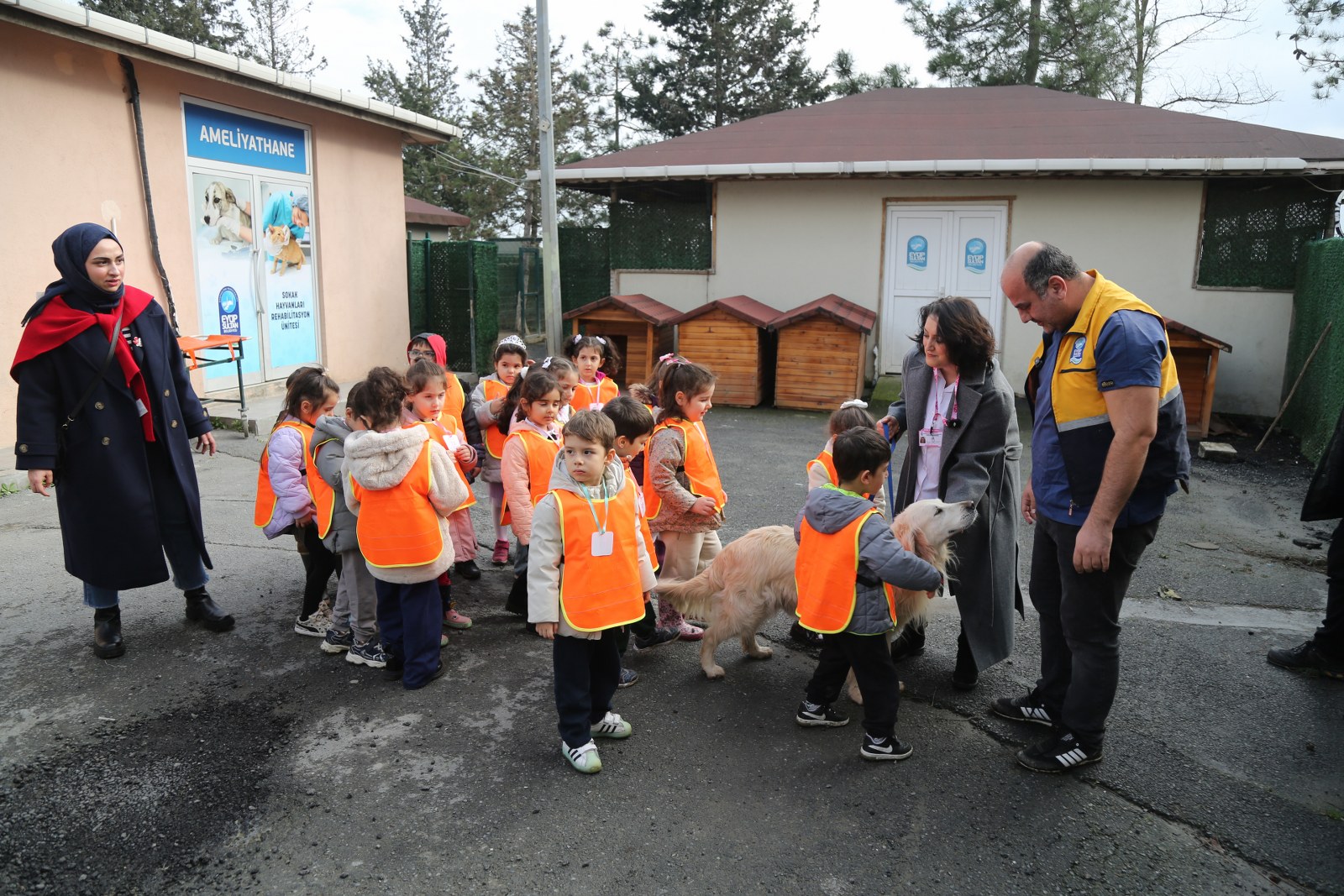 K A D R8784 1600X1067