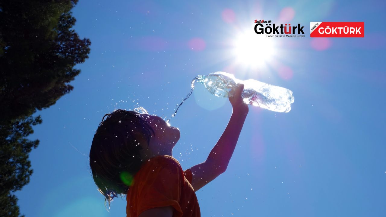 Küresel Deniz Sıcaklıklarında Tarihi Rekor Sürüyor