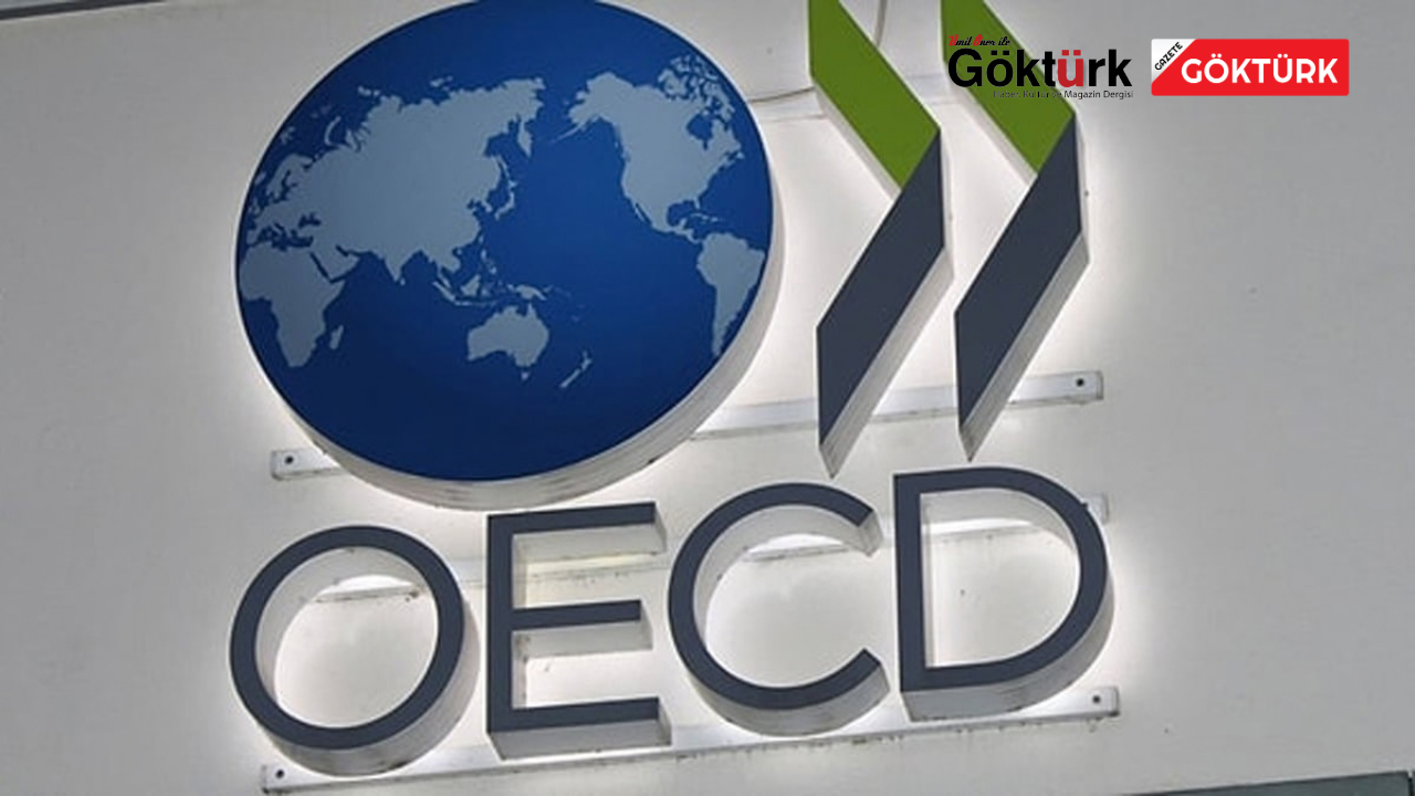 OECD'DEN TÜRKİYE İÇİN ENFLASYON REVİZYONU