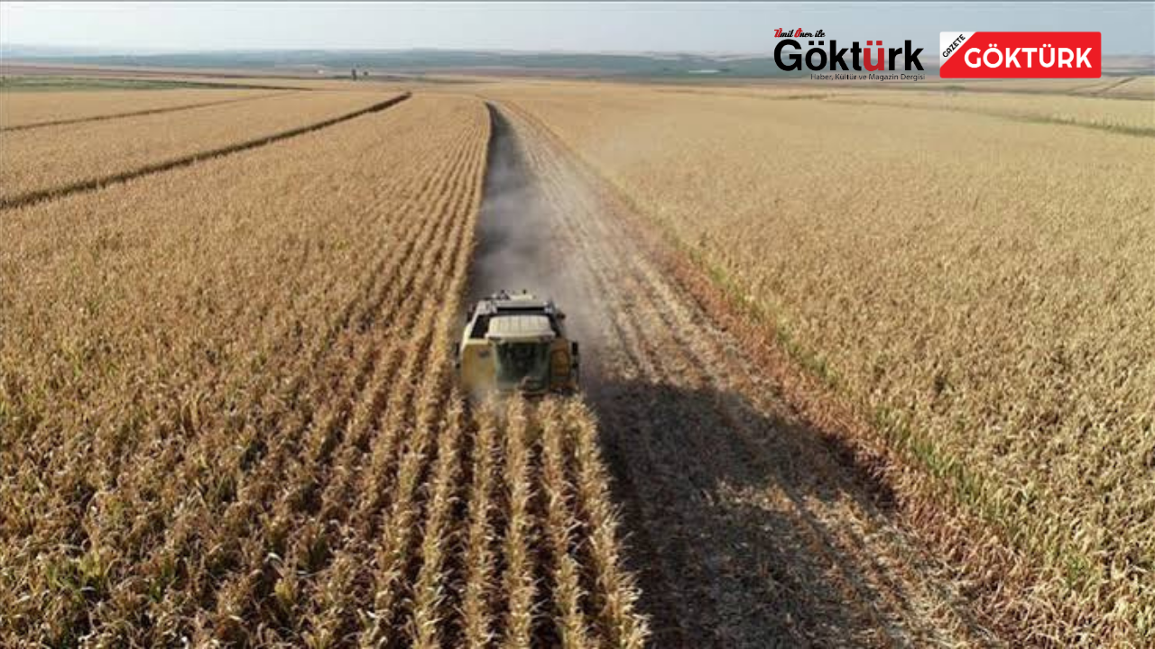 Bakanlık harekete geçti: İşlenmeyen tarım arazileri sezonluk kiraya verilecek